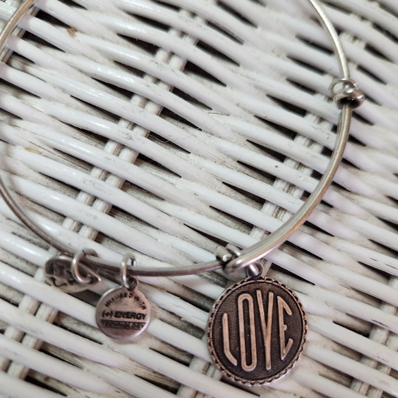 Alex and Ani charm bracelet,  silver tone - Picture 1 of 2
